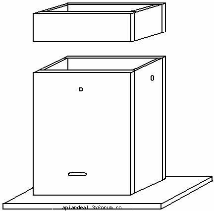 nu am auzit pe cineva sa foloseasca numai rame 1/2. dadant  +1/2, dadant + 3/4, 3/4 + 3/4 sau + 1/2,