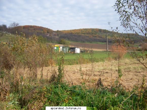 natural bio stupina, km., de  centrul comunei. aici este sat batrani, care cultiva langa casa,