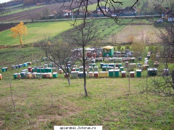 sesizare prea aveti dreptate. sunt multi curiosi, intra exemplu client vrea vada inseamna mierea,