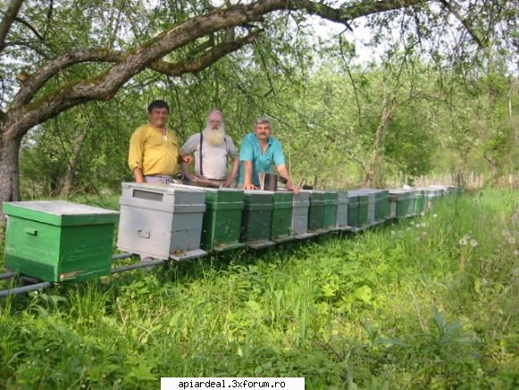 software jurnal apicol programe genul acesta darul facea viata apicultor mai usoara putind treci mai