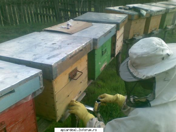 jurnal apicol folosesc varojetul pt. elimin riscul incendiu sunt sigur arderea completa fitilului.