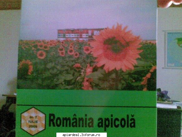 jurnal apicol apropo amplasarea stupilor floarea soarelui chiar azi primit revista romania apicola