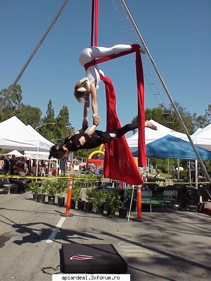 4th july acrobati.