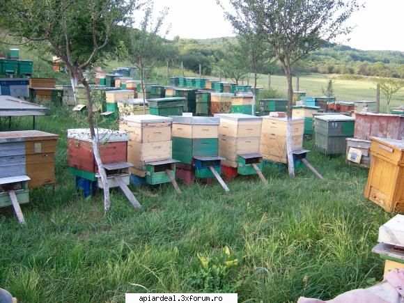 teme casa propun fiecare sa-ti faci cum fac mereu alte lazi, pana cand zici nu-ti mai aceea sunt asa