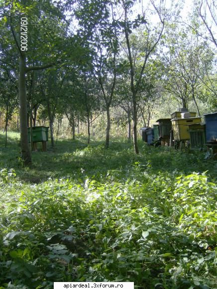 stupii mei pozati de sora mea de la departare sa vorbim despre romania actuala si cea din viitorul