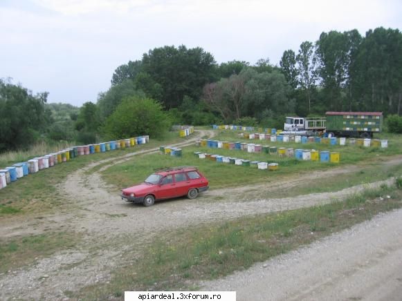 apicultura prezent viitor stupina foarte frumoasa contine 320 familii pastoral