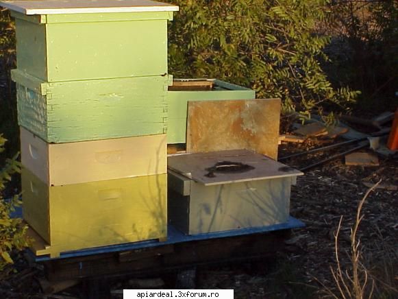 viata apicultor astazi afara 28c perfect lupt meu.ajung stupi albine tot fumatoarea bine pun niste