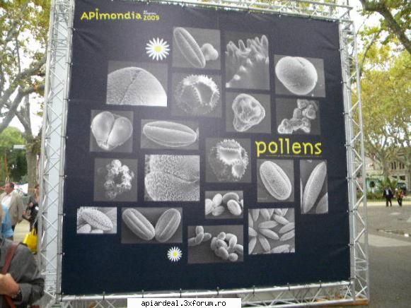 apimondia 2009 franta ati mai vazut asa polen