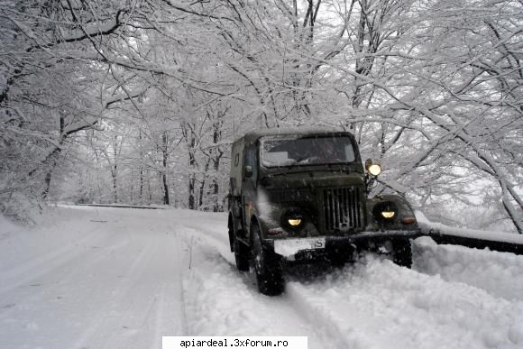 4x4 ziceti noi nins cam mult