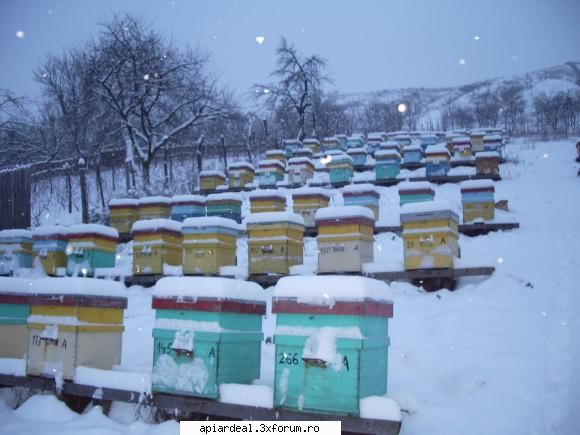 intampla mai mult rau faci daca deranjezi prin decat daca lasi linistite zapada