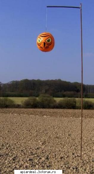 fac pitigusii ??? pune-ti asa ceva langa stupi. franta balon care este aplicat desen autocolant