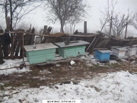 si stupina coroiesti de jos material sters de romikle  munca 368 zile