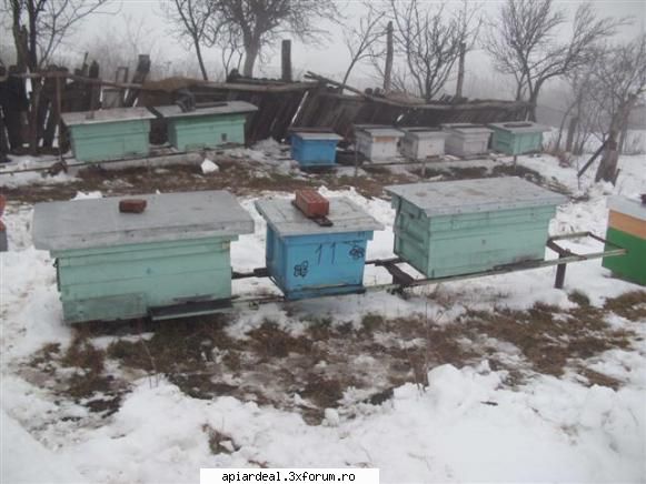 si stupina coroiesti de jos material sters de romikle  munca 368 zile