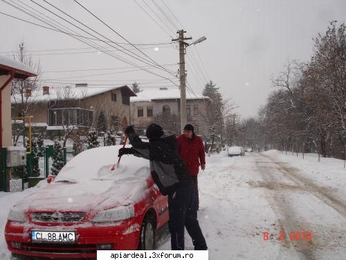 targul 2010 plecarea luni dimineata vreme superba