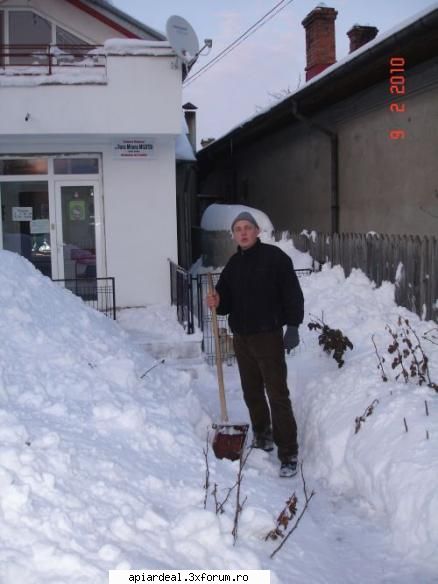 targul 2010 dupa atata pauza incercam scapam iarna.