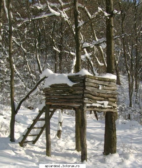 florin instalatie vanatoare hochstand.