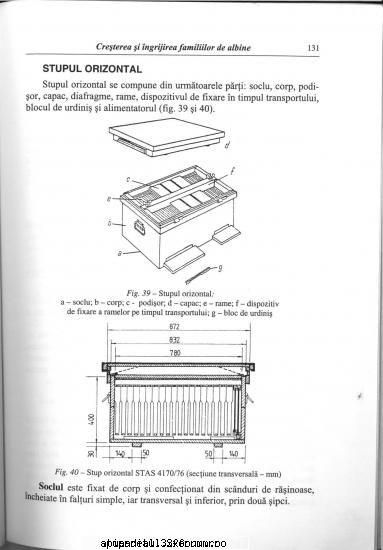 stup vertcal sau sal all .sunt nou apicultura vreai stiu care este diferenta dintre stup dadant unul