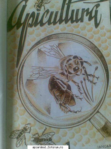 din istoria revistelor apicole coperta revistei din ianuarie 1949 adica din prima luna dupa