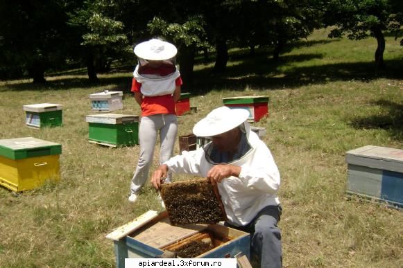 nou stupi nou filip daca folosesti fasii tabla bine fie toata partea capacului pana jos.ce intelegi