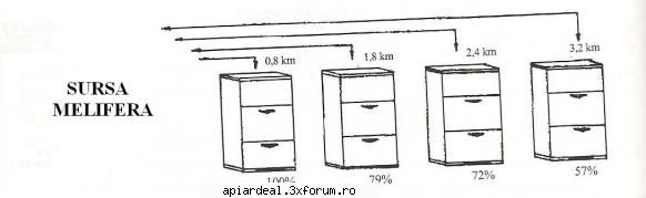 distanta maxima sursa cules influenta distantei stupinei fata sursa melifera asupra culesului