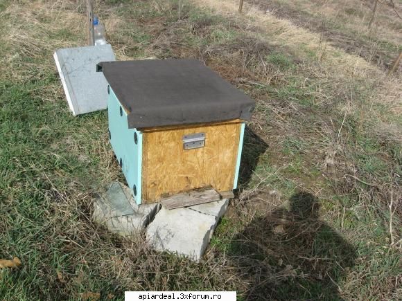 2009 Inceputul - bine izolat pe pat cald - SUNT INCEPATOR
