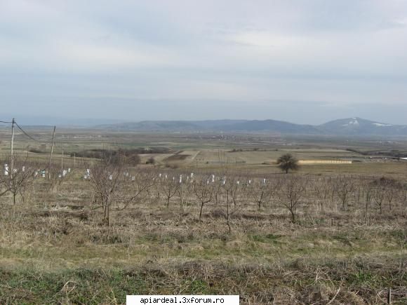 2009 Inceputul - Voi incerca si fimele dar mai intii trebuie sa - SUNT INCEPATOR