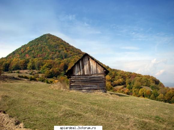 4x4 ce ziceti - marius - Hobby-uri