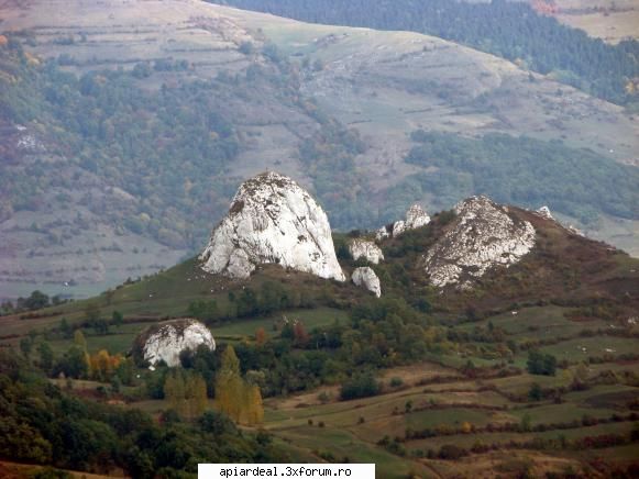 4x4 ce ziceti - marius - Hobby-uri