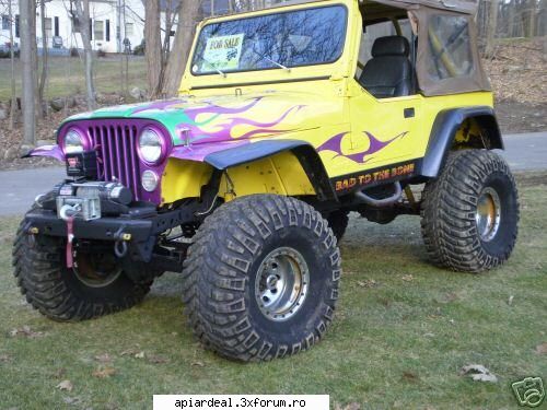 4x4 ce ziceti - Da, 4 X 4 este o pasiune dusa la limite de uni - Hobby-uri