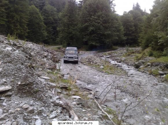 4x4 ce ziceti - cipy - Hobby-uri