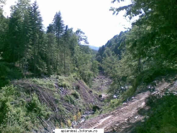 4x4 ce ziceti - coclaurile pe unde am fost astazi - Hobby-uri