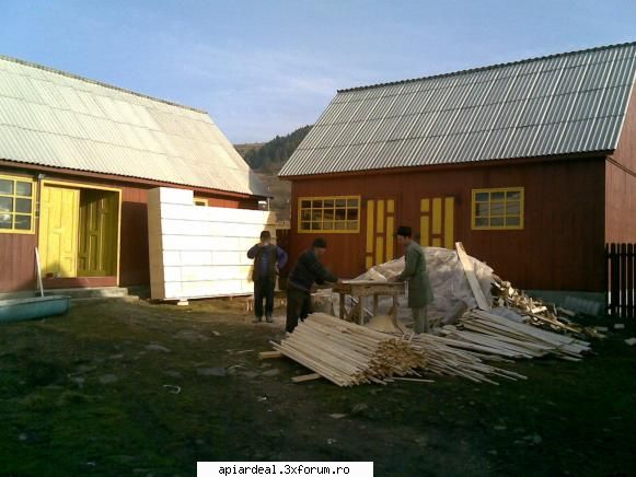 APICULTOR CONFECTIONEZ SI VIND RAME SI STUPI TOATE MODELELE stasuri - teo - VANZARI