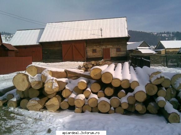 APICULTOR CONFECTIONEZ SI VIND RAME SI STUPI TOATE MODELELE stasuri - teo - VANZARI