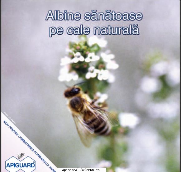 APIGUARD Tratament impotriva varoozei - admin - NOUTATI