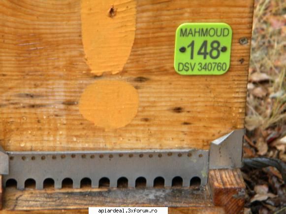 APIMONDIA 2009 Franta - A sosit si poza - INTALNIRI