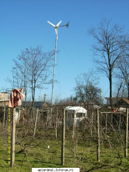 Albinele si eolienele de imensiuni mici. - Dragule nu eoliana era de vina ci traseul de - SITUATII ANORMALE