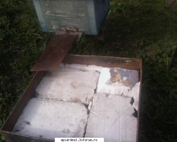 Apa in prisaca - Asa arata adapatorul astazi la ora 14.Ce bine ar - INTRETINEREA ALBINELOR