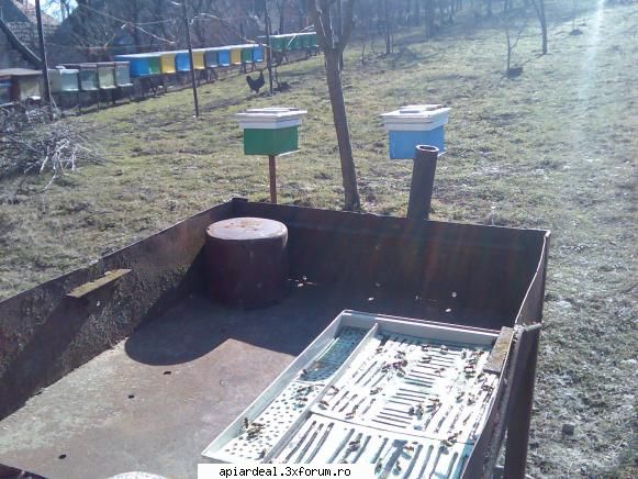 Aprilie - Pentru ca sa nu se innece s-au ca sa le fie mult - CALENDAR APICOL