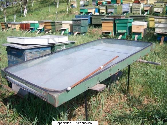 Ardealul ce parere aveti de colectare,valorificarea polenului? - Eu prezint acel panou - PRODUSELE STUPULUI