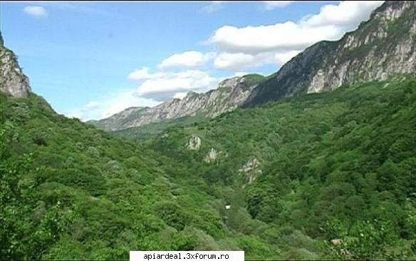 Aventura in Valea Cernei. Pe urmele lui Hercules - Doresc sa va ofer mai multe - AICI PUTETI POSTA ORICE...