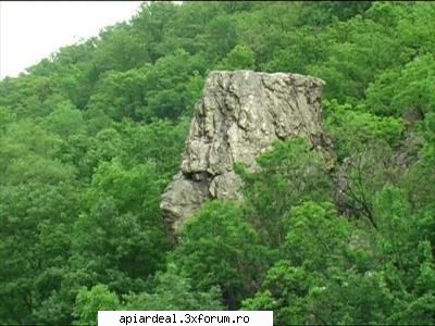 Aventura in Valea Cernei. Pe urmele lui Hercules - Tocmai asta incercam si noi - AICI PUTETI POSTA ORICE...