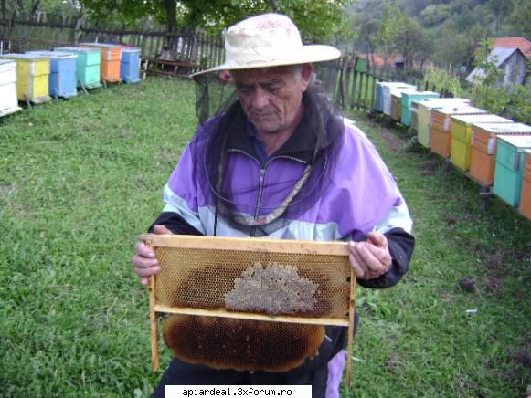 CUM CRESTETI PRODUCTIA DE CEARA? - eu folosesc rama de1/2 ca si claditoare, sus este - PRODUSELE STUPULUI