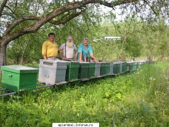 Compania de organizat standuri bio Demeter - Domnu' Albina (proletara), se zice - AICI PUTETI POSTA ORICE...