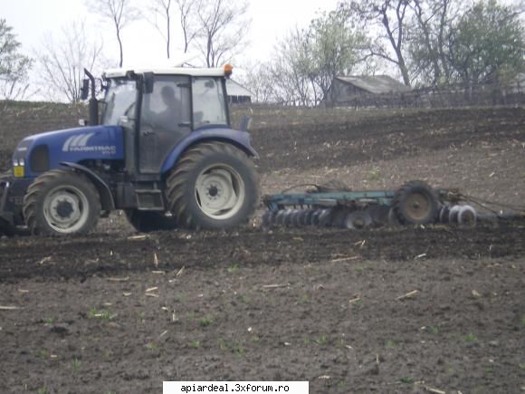 Descriere cultura facelia - Utilaj in actiune pt. pregatirea stratului - PLANTE MELIFERE