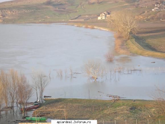 Dunare... - N A MARIN - POZE SI VIDEO