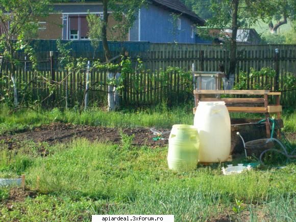 Este totusi un forum de apicultura fara cenzura? - Eu am venit si pe acest forum din mai - SITUATII ANORMALE
