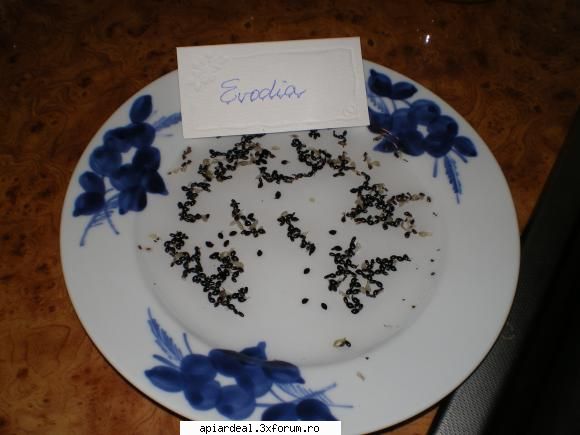 Evodia - Felicitari domnule Cruceanu. Eu am trecut de - ARBORI MELIFERI