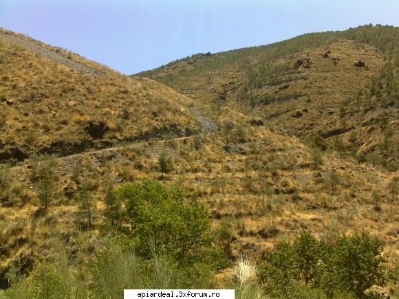 Excursii , drumetii - Locuri pitoresti,cu nectarbogat si abudent dar de - Hobby-uri