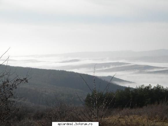 Excursii , drumetii - Valea Calnaului - Hobby-uri