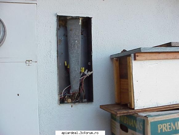 Extragere unei famili - Dintr-o cutie electrica. De fapt sunt in perete - SITUATII ANORMALE